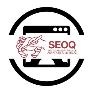 Mantenimiento-Gestión Contenido Plataforma SEOQ.ORG